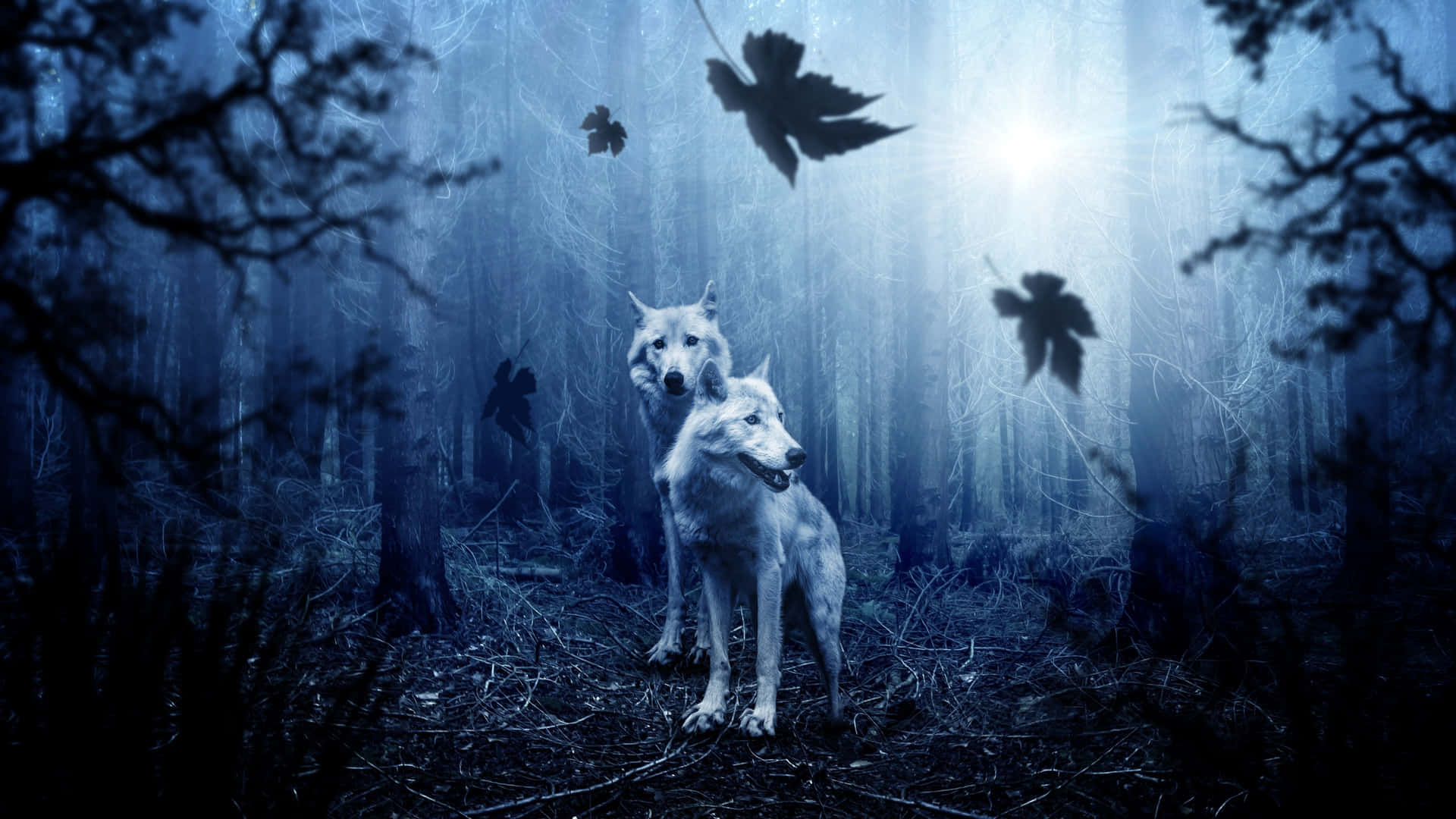 Majestic wolf roaming the tranquil forest Wallpaper