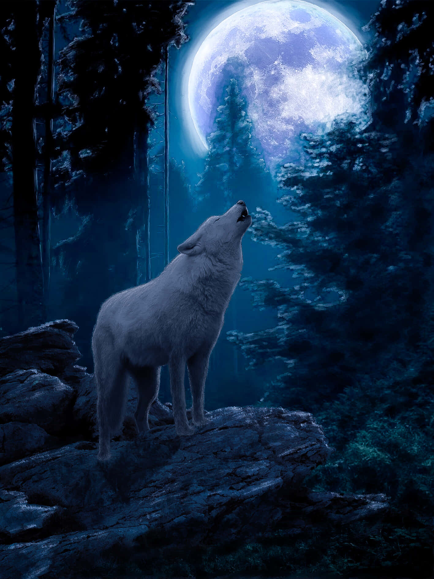 Majestic Wolf in Moonlit Forest Wallpaper