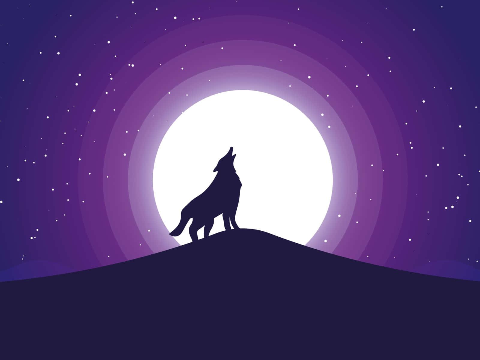 Majestic Wolf Bathed in Moonlight Wallpaper