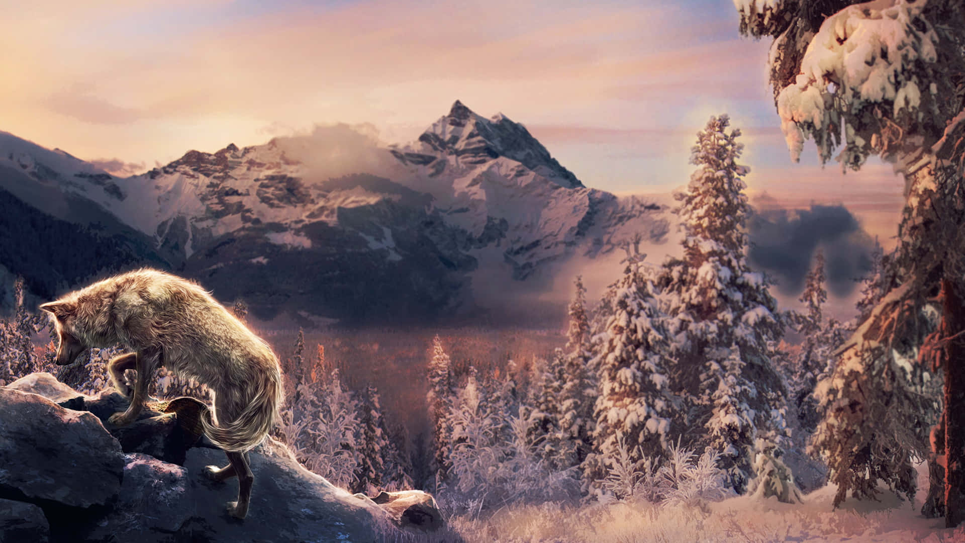 Majestic Wolf Roaming the Mountain Landscape Wallpaper