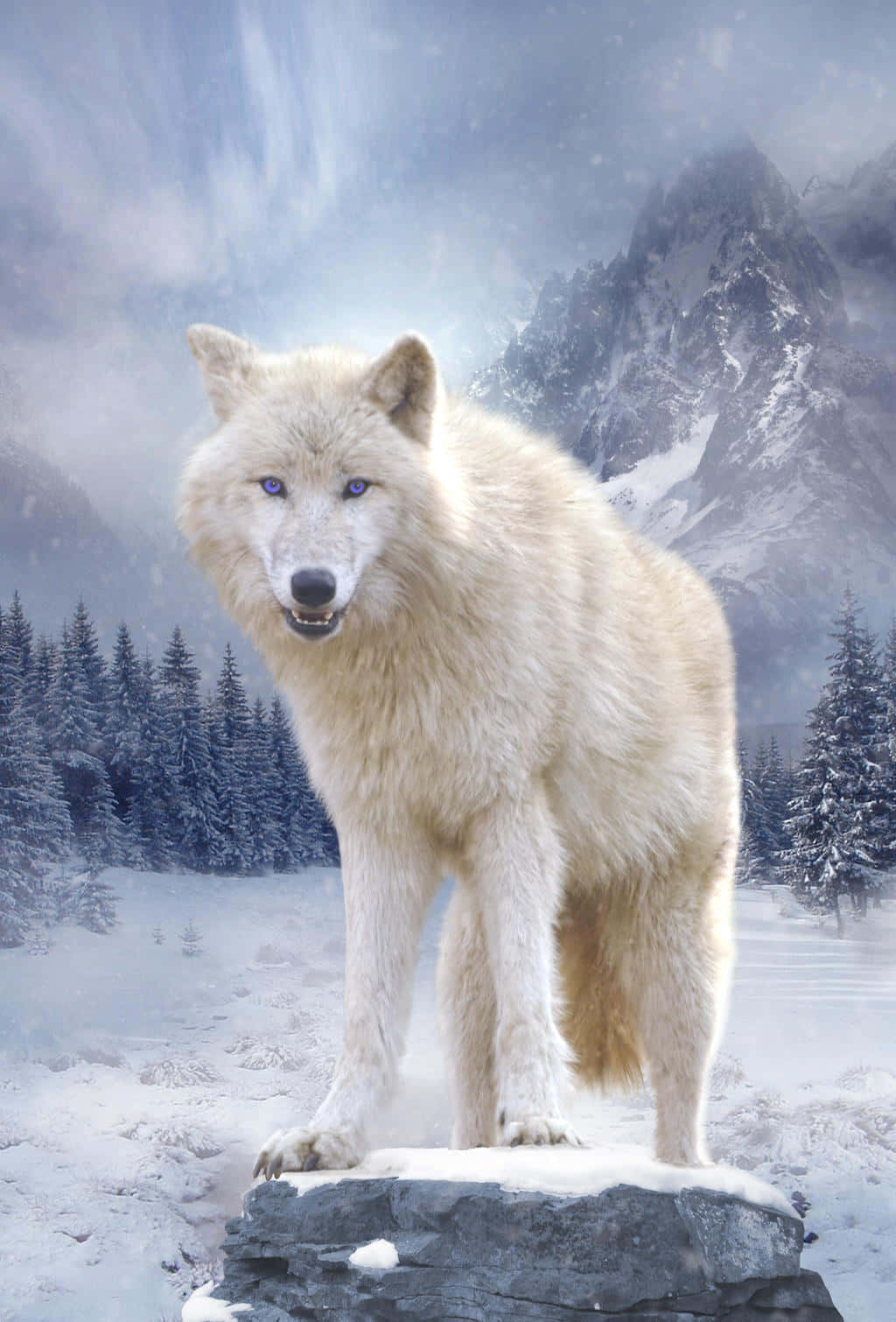 Captivating Snow Wolf Wallpaper