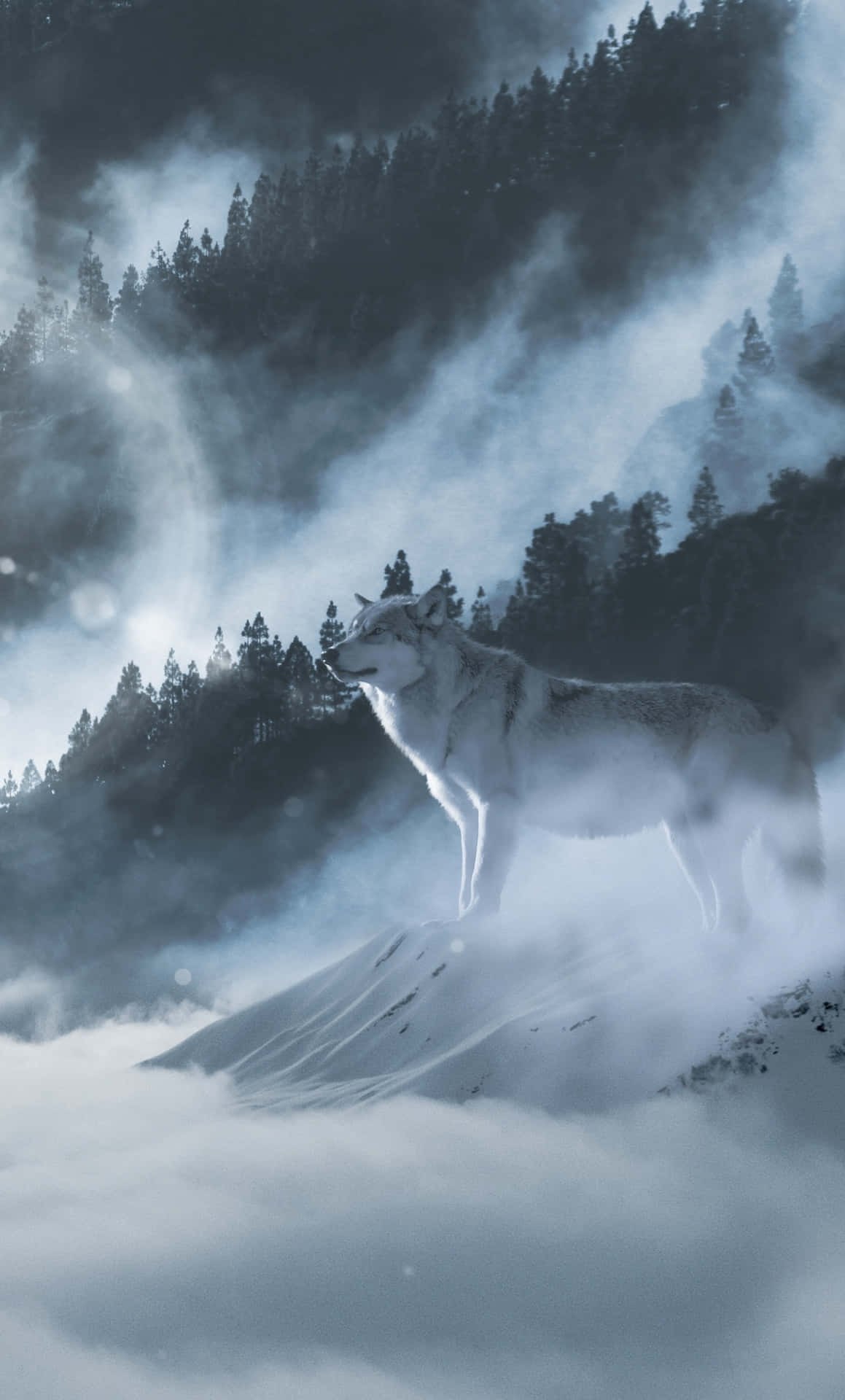 Majestic Wolf in Snowy Landscape Wallpaper