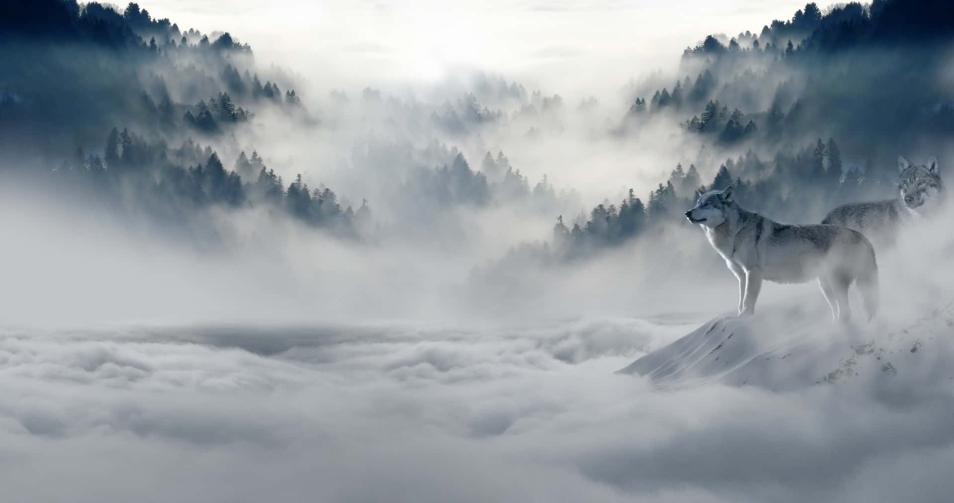Majestic Wolf in Pristine Snow Wallpaper