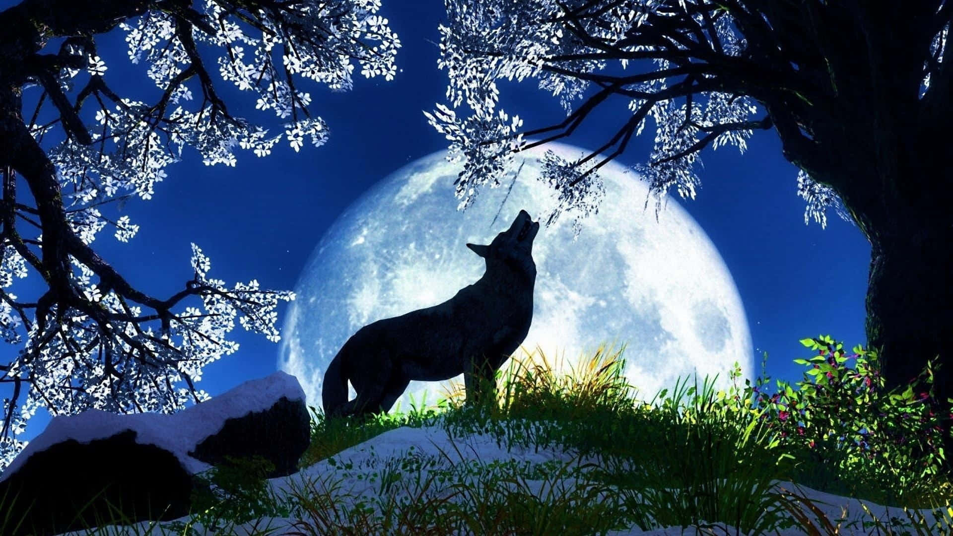 Majestic Wolf in Spring Wallpaper