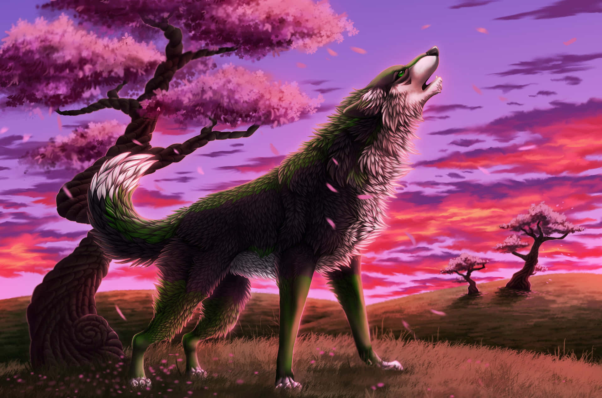 Majestic Wolf in Lush Spring Forest Wallpaper
