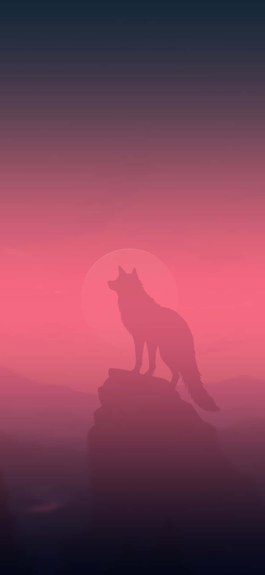 Majestic wolf in a serene sunset Wallpaper