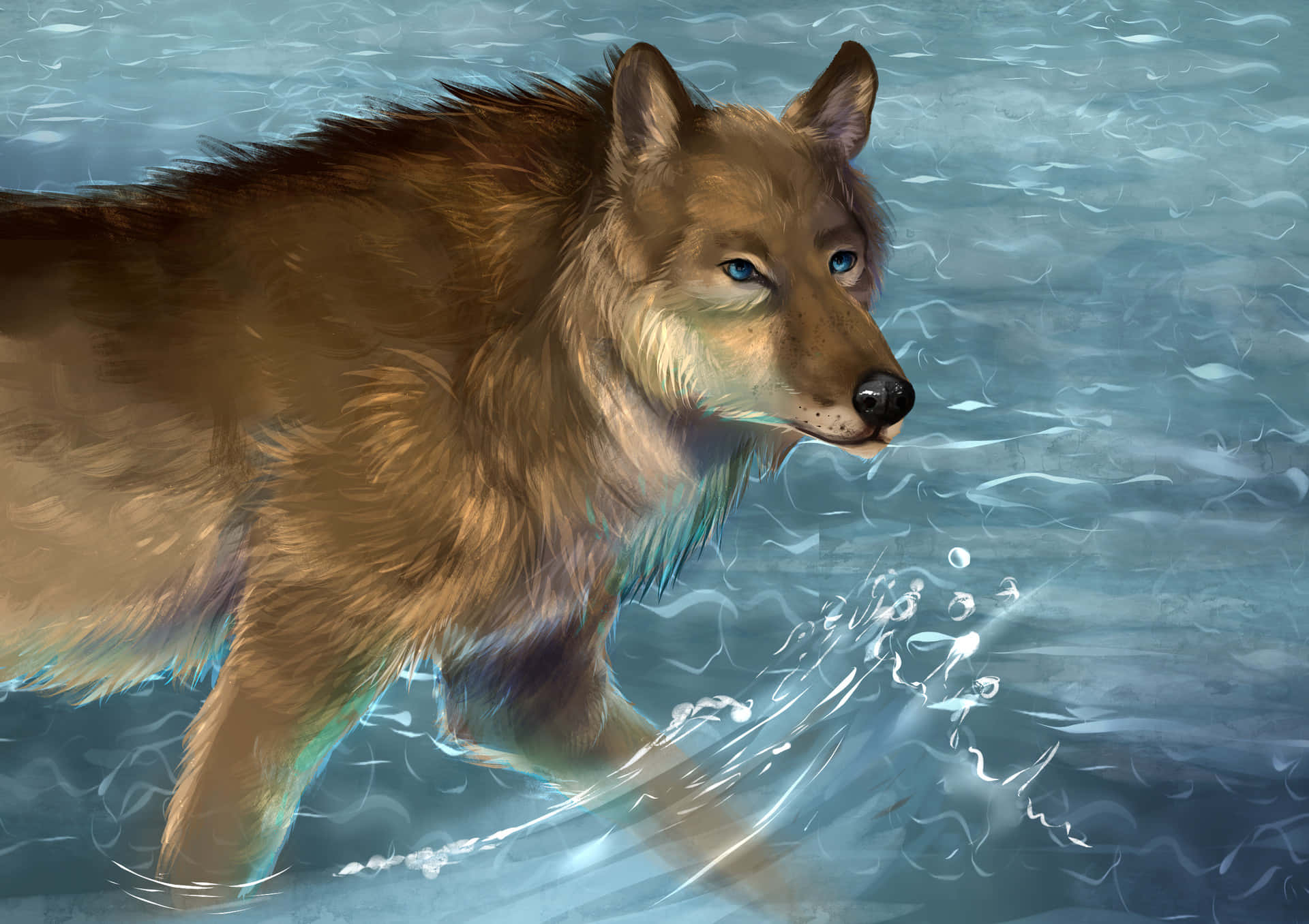 Majestic wolf in serene water Wallpaper