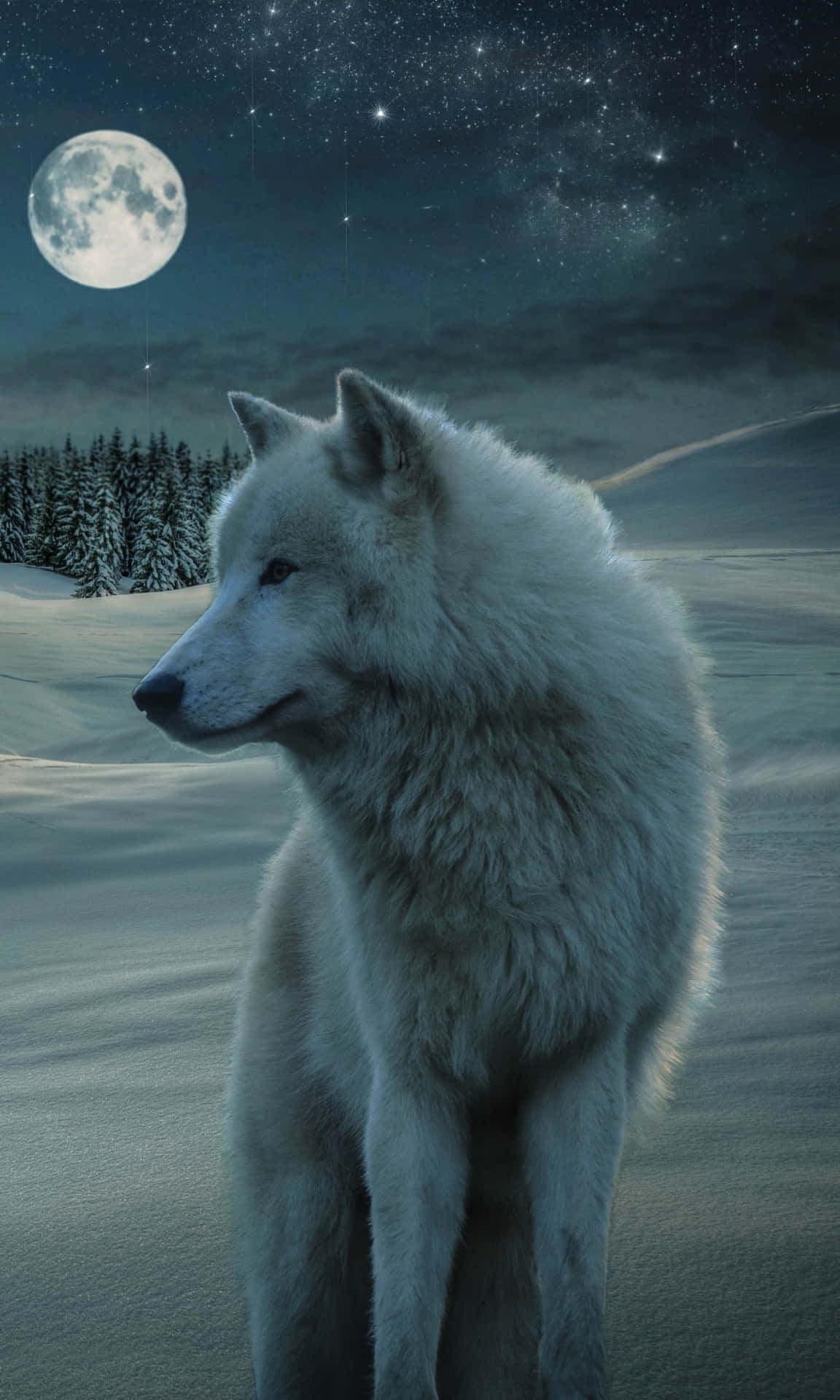 Majestic Wolf in Snowy Winter Landscape Wallpaper