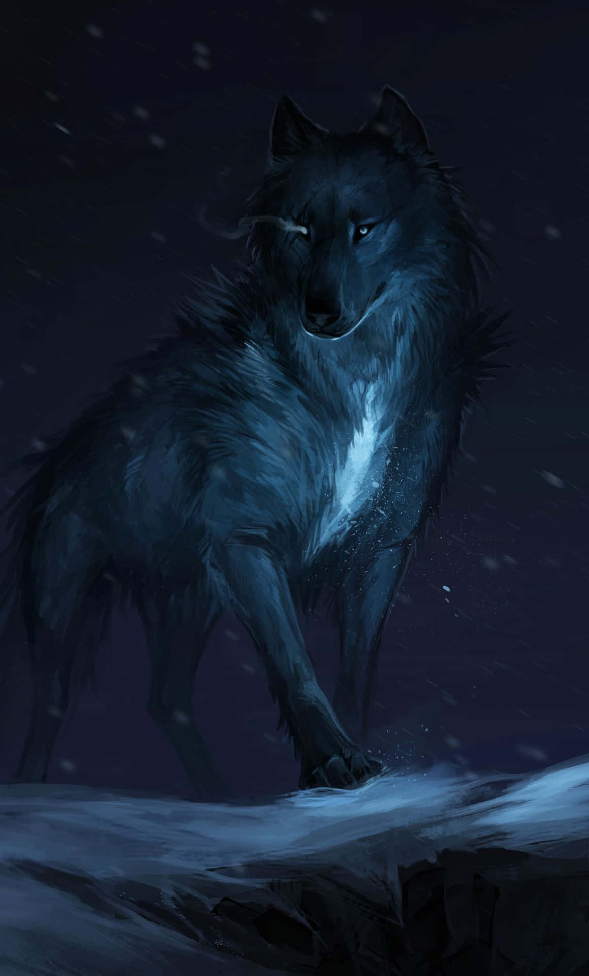 En smuk ulv hvisler om natten. Wallpaper