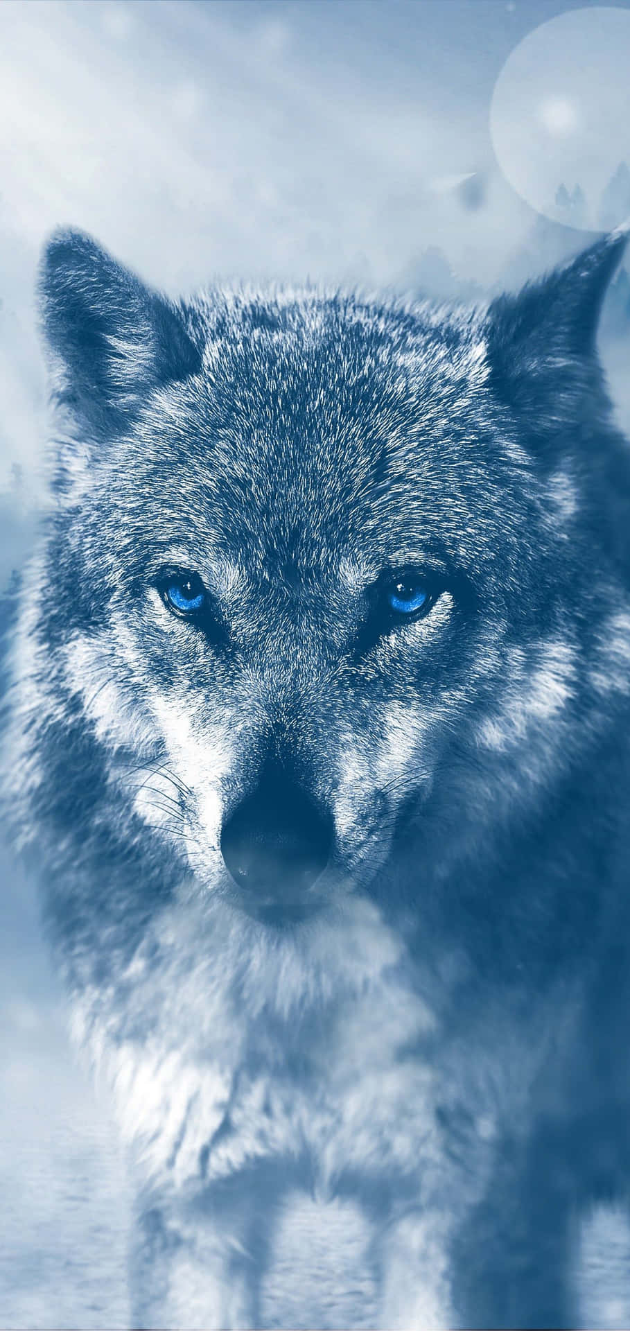 Make An Impact With The Wolf Iphone Wallpaper