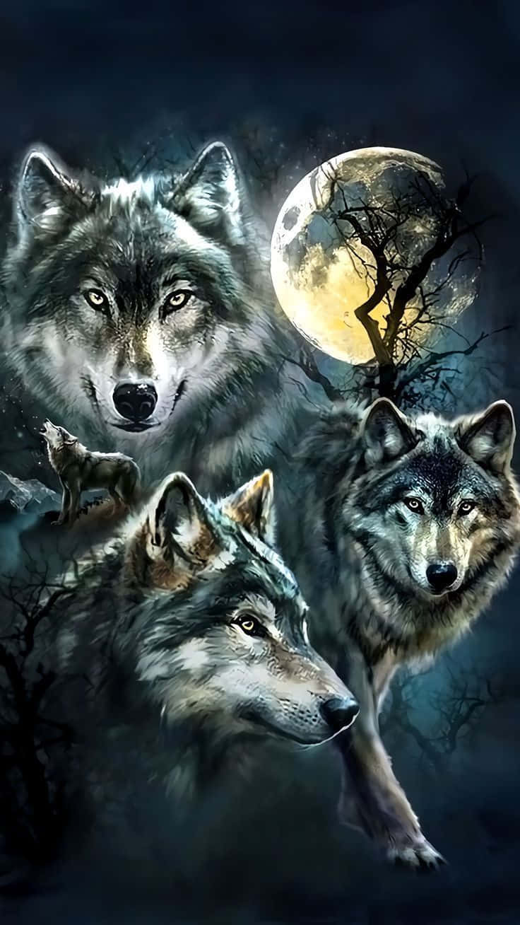 Wolf Iphone Four Expression’s Wallpaper