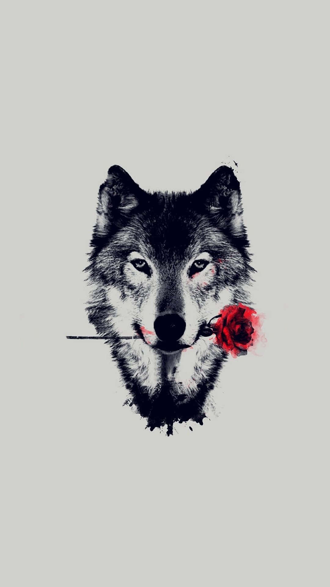 Einsamkeitmit Dem Wolf Wallpaper