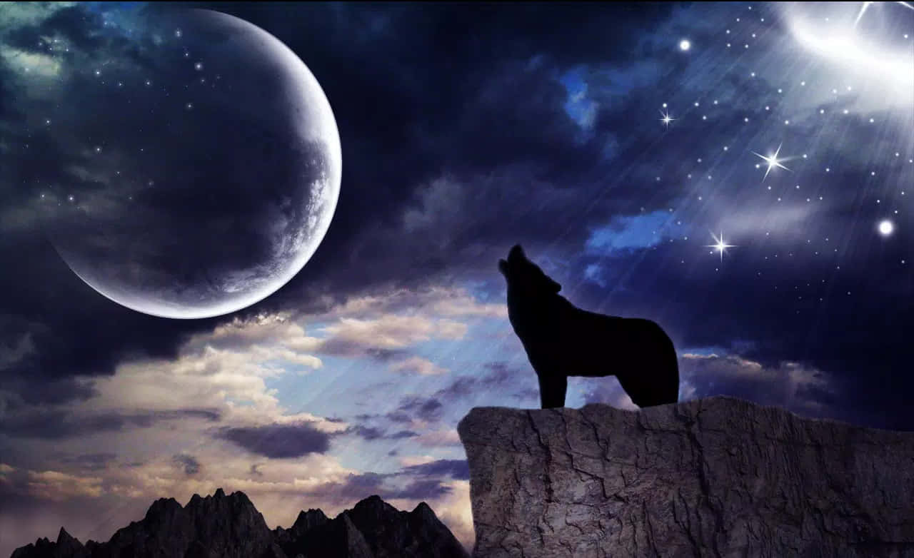 Radiant Wolf Moon Illuminating Forest Wallpaper