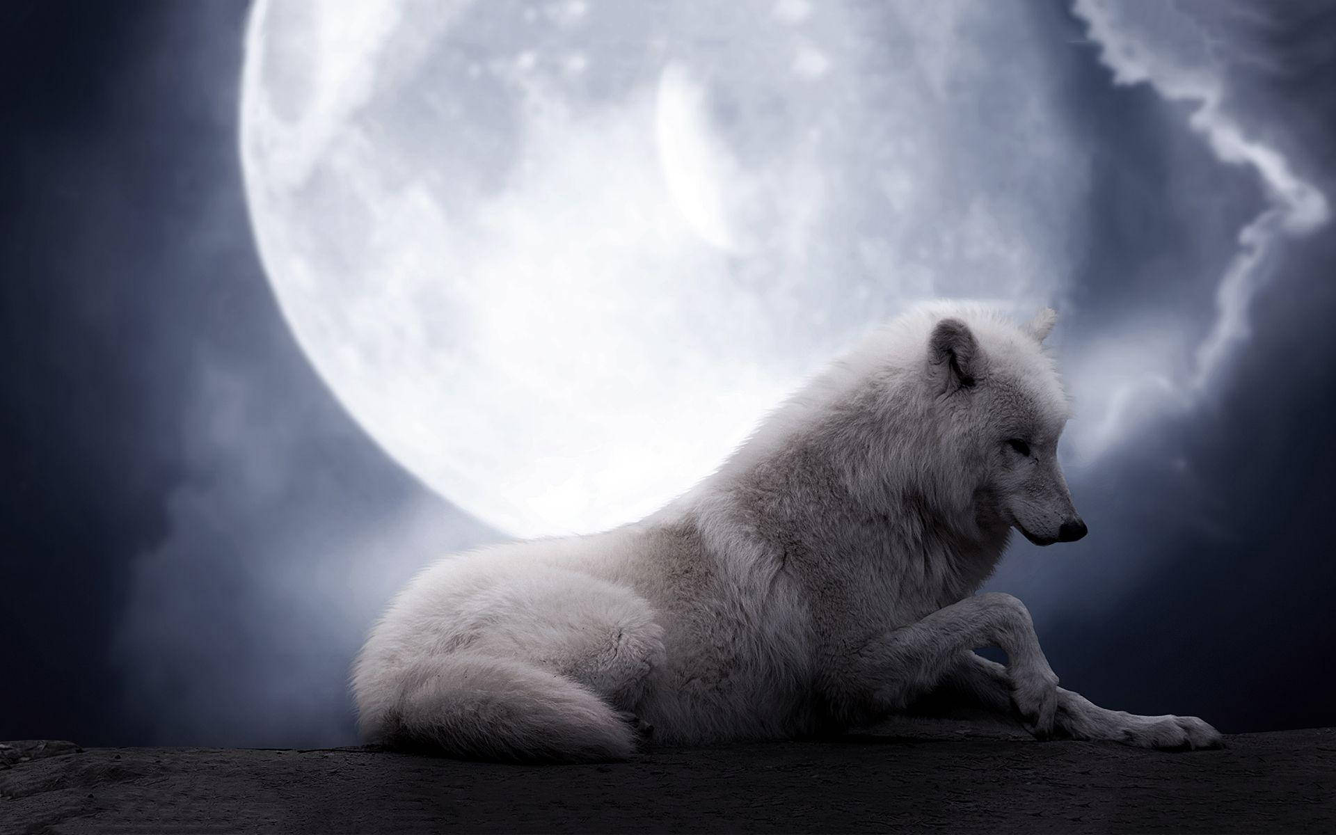 Tapet af Ulvemåne: Besøg månen med dette fantastiske ulvemåne-tapet! Wallpaper