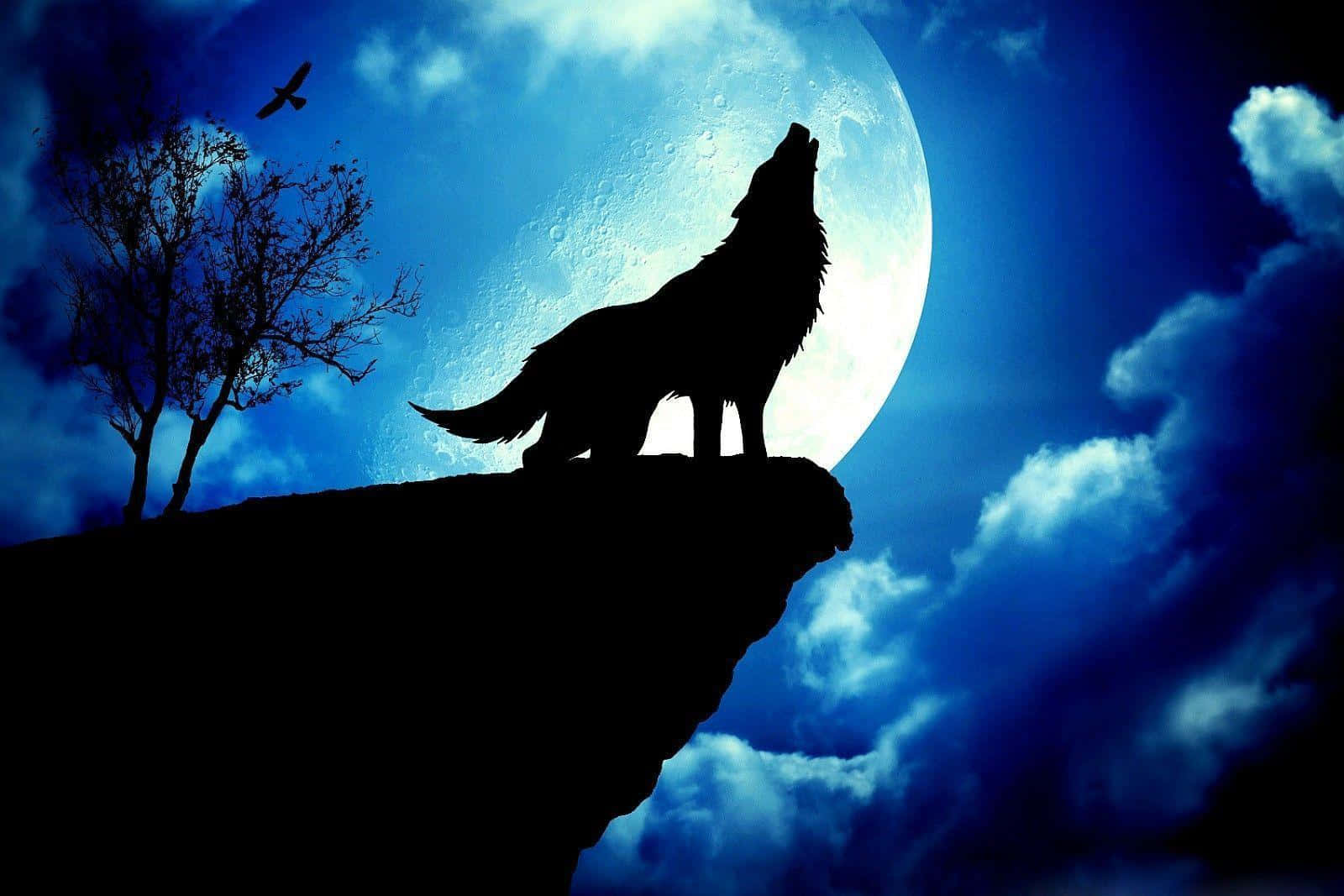 Majestic Wolf Under The Radiant Full Moon Wallpaper