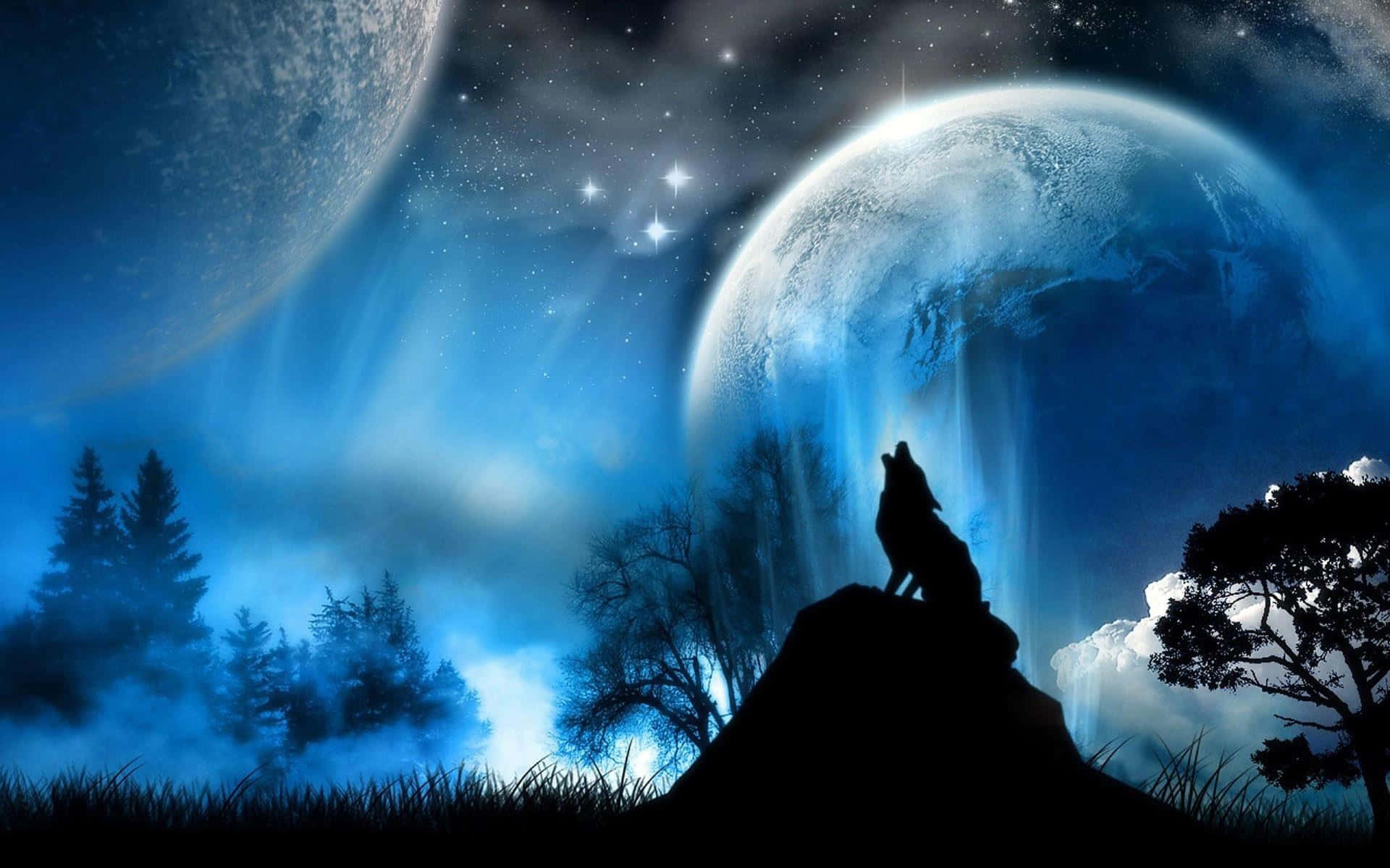 Mysterious Wolf in a Moonlight Sky Wallpaper