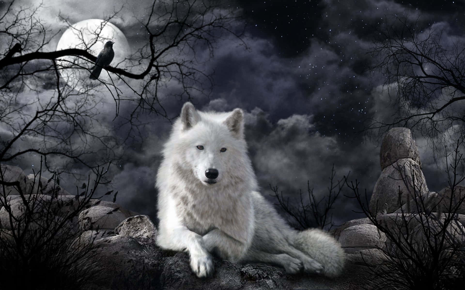 Wolf Moon Relaxing With Raven Wallpaper