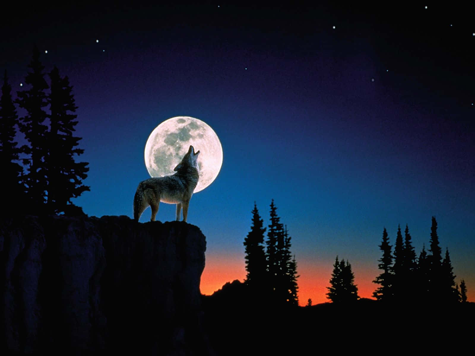 Laluna Del Lobo Se Levanta, Iluminando El Cielo Nocturno. Fondo de pantalla