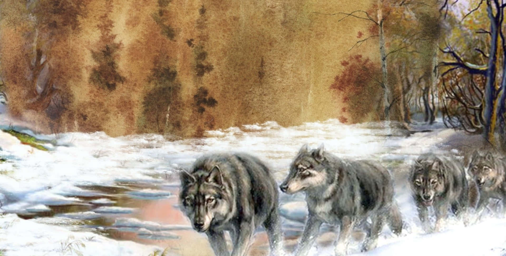 En stærk ulveflok står sammen, beskytter hinanden i det vilde. Wallpaper