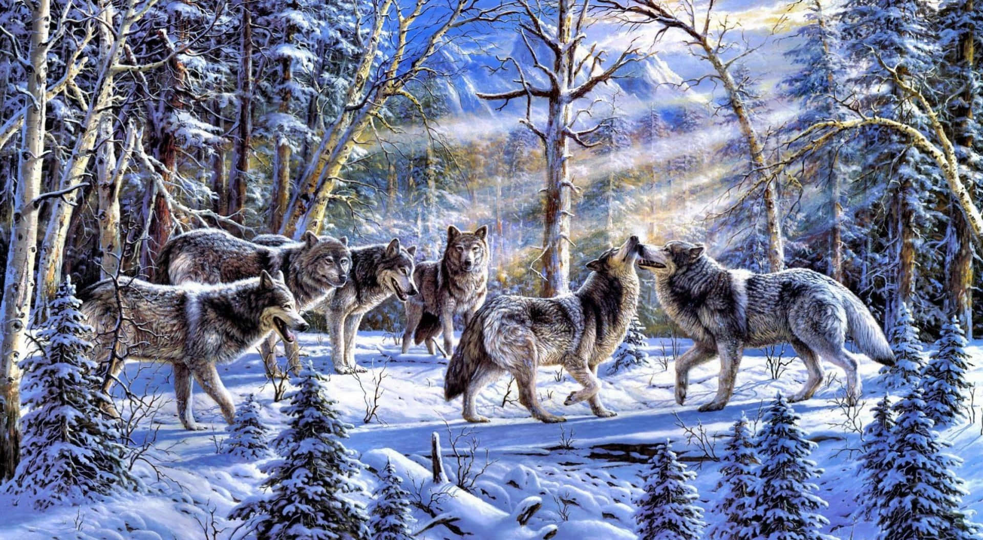 Manadade Lobos En El Bosque De Nieve Al Amanecer. Fondo de pantalla