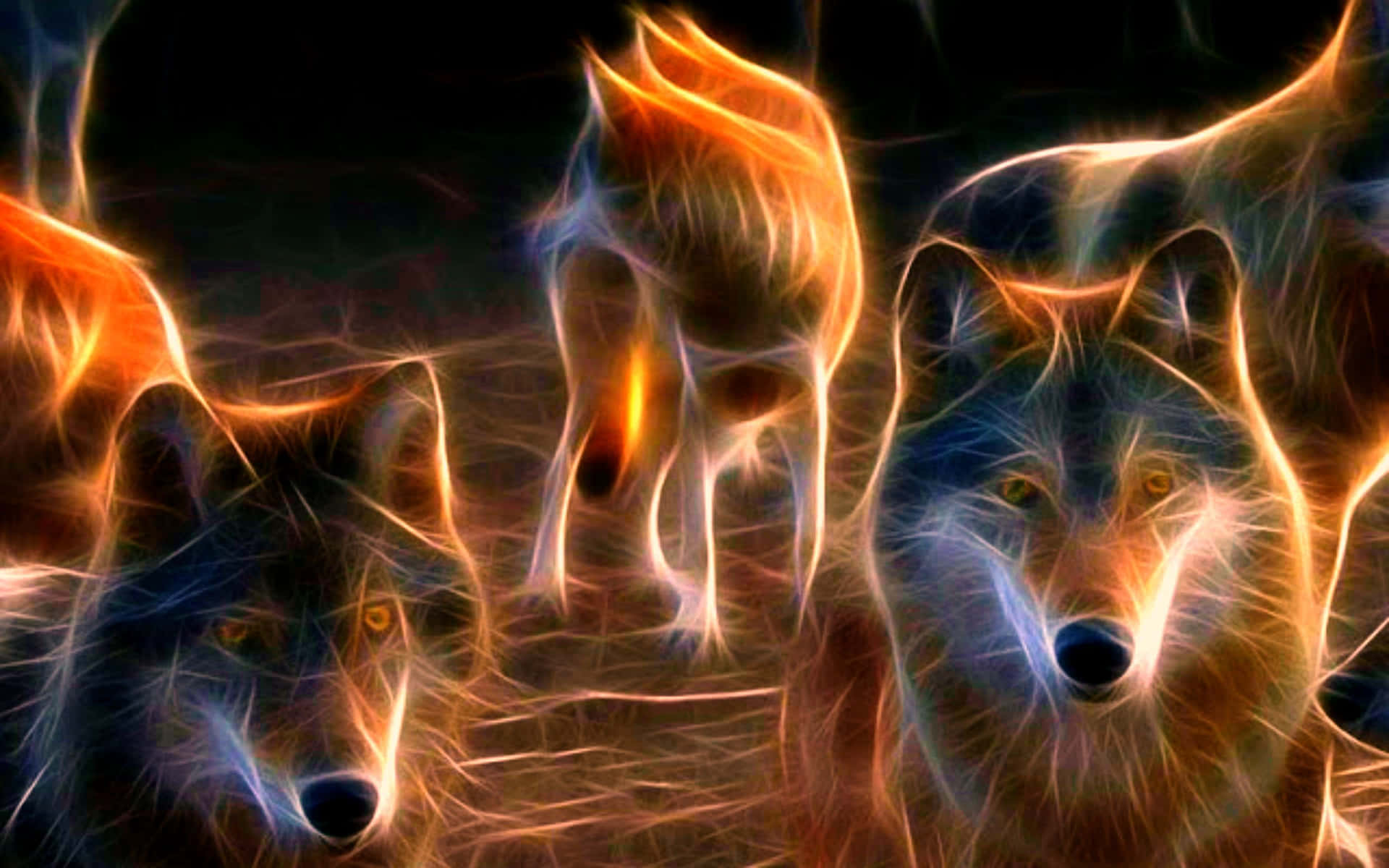 Wolf Pack Sunset Lights Wallpaper