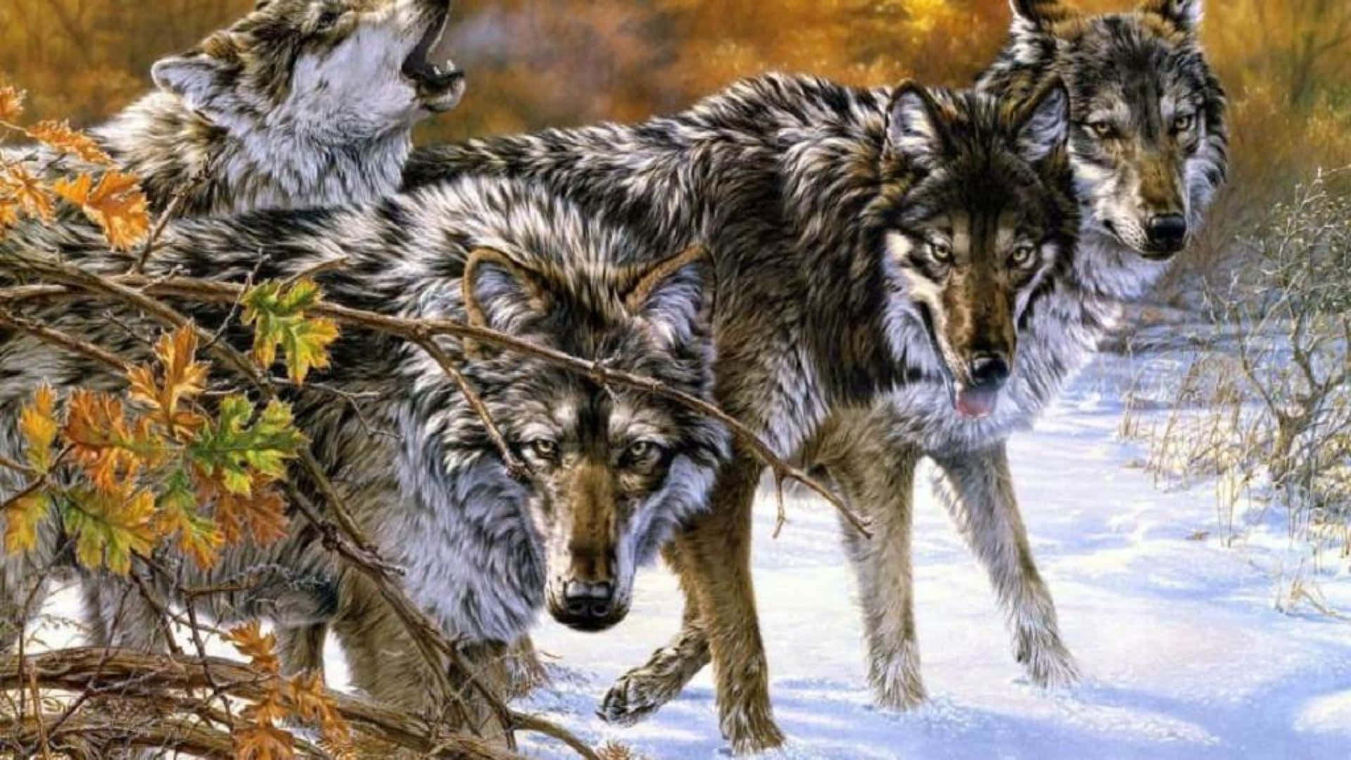 wolf pack wallpaper 1920x1080