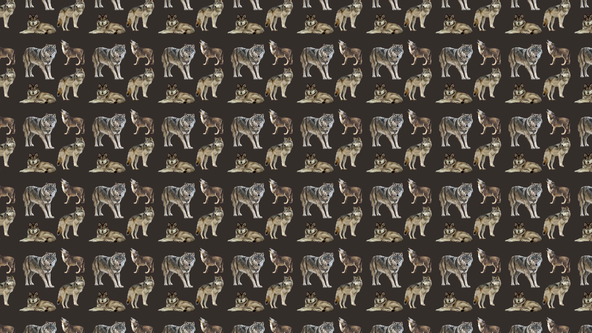 Captivating Wolf Pattern Wallpaper