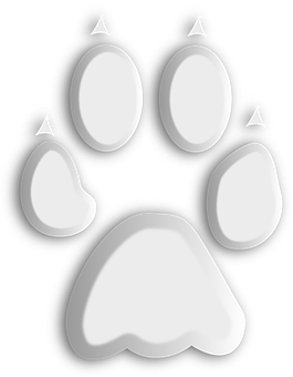 Wolf Paw Print Graphic PNG