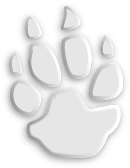 Wolf Paw Print Graphic PNG