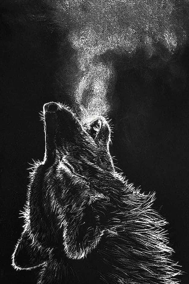 Einezeichnung Eines Wolfs, Der In Der Luft Heult Wallpaper