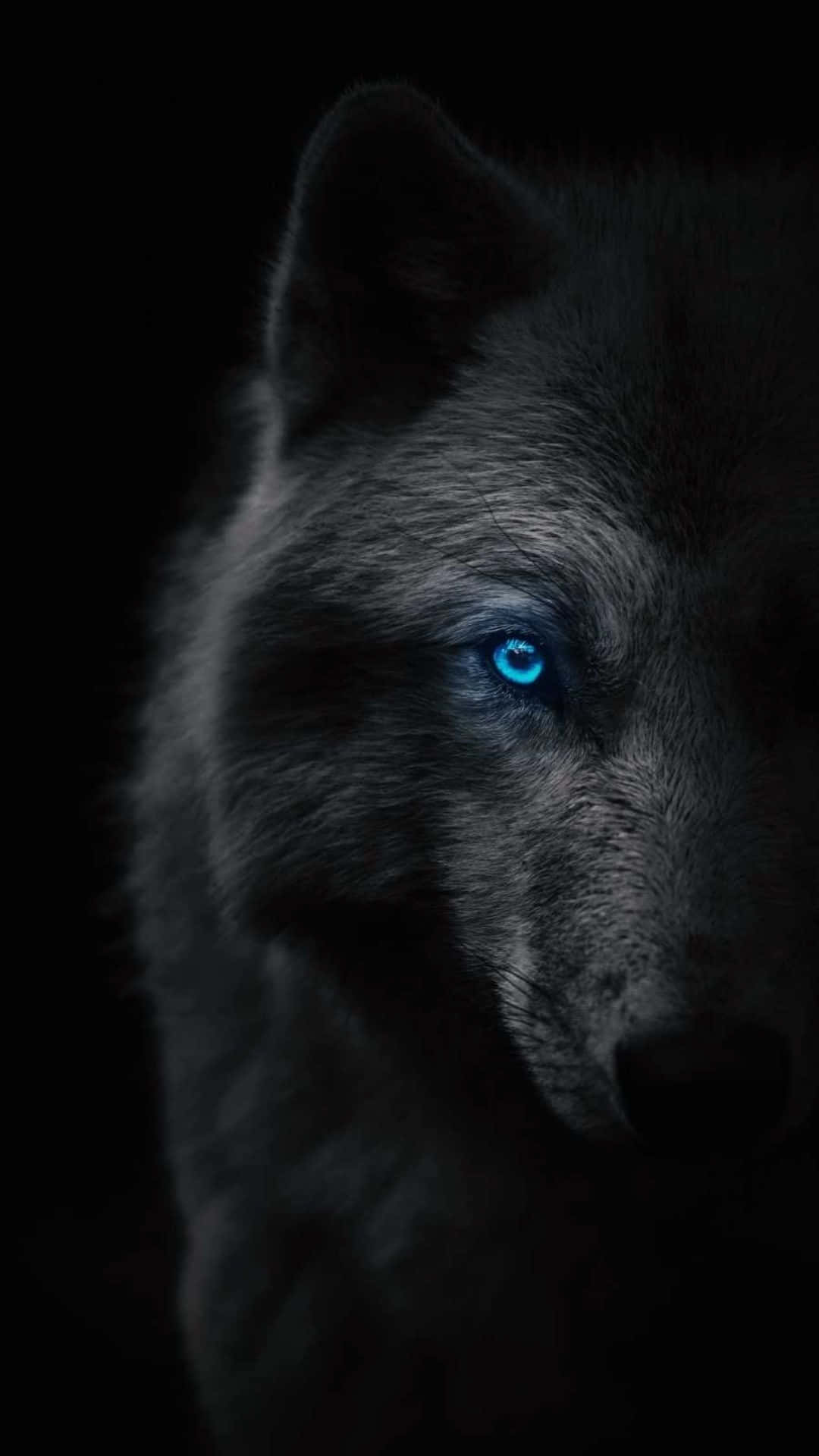 Get your Wolf Phone today Wallpaper