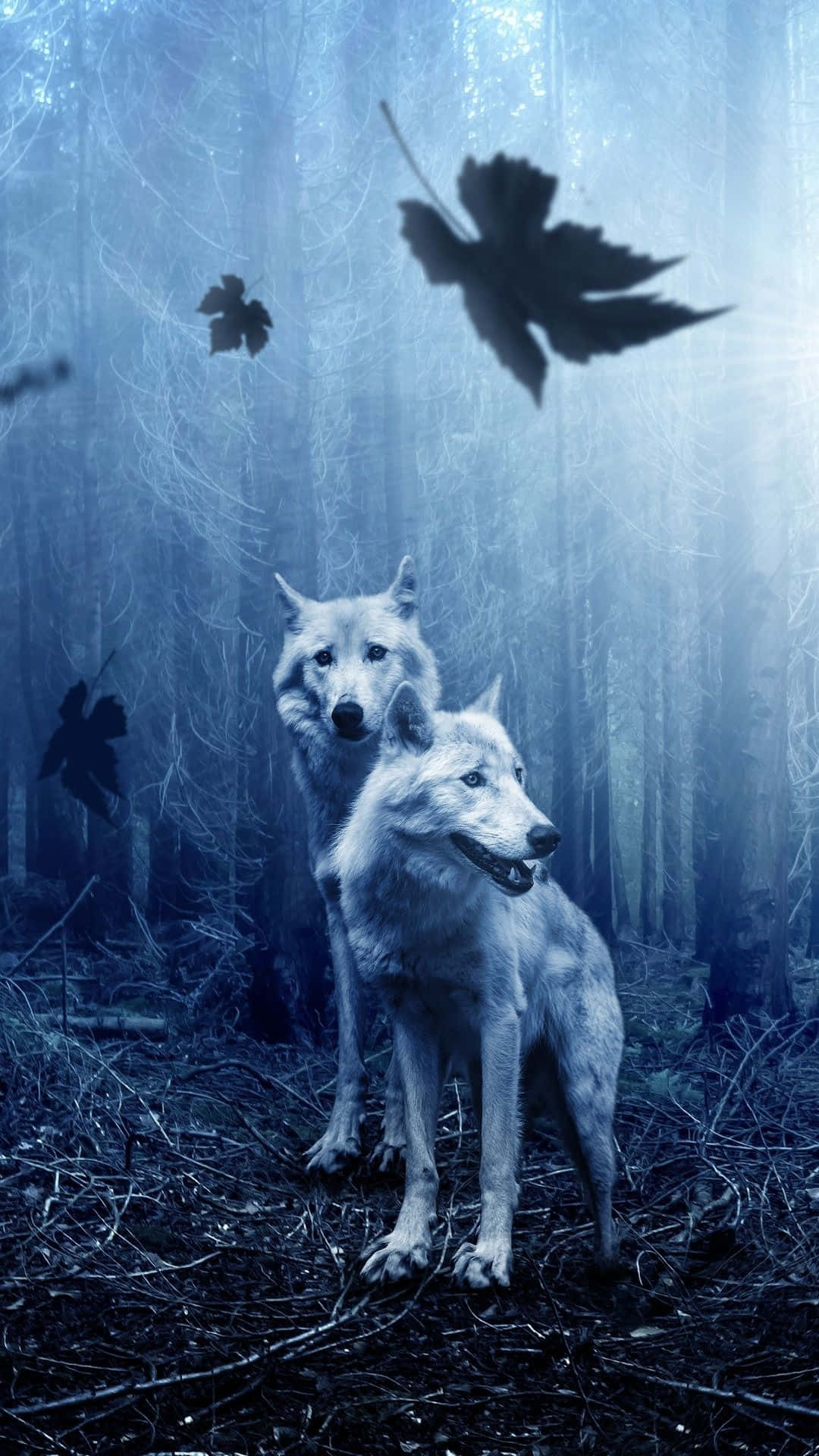 Unleash your Wolf Phone Wallpaper
