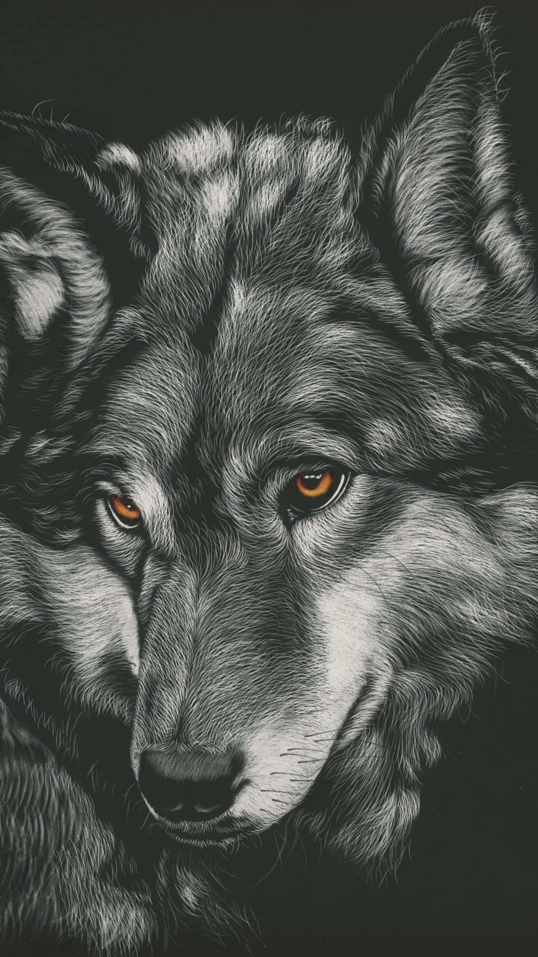 Majestic Wolf in the Wild Wallpaper