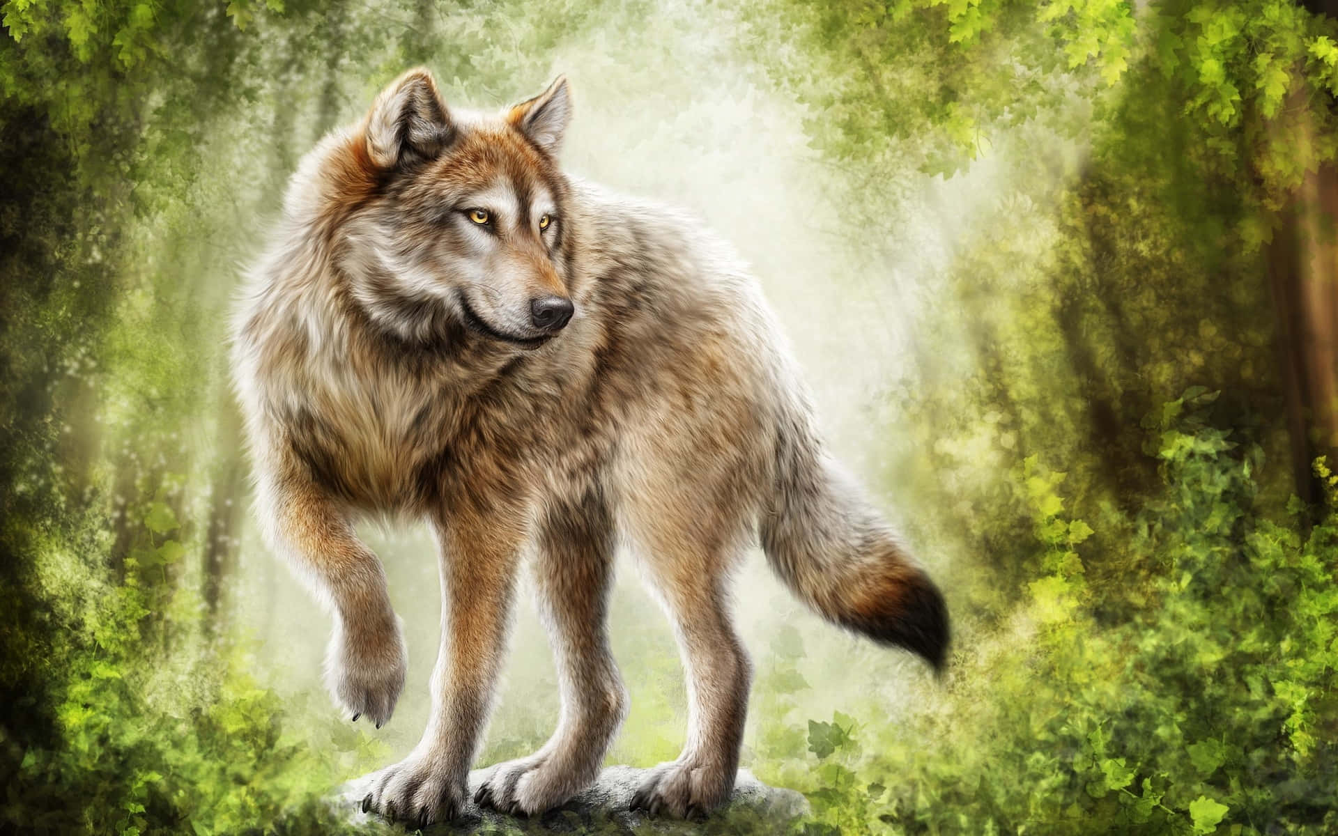 Captivating Gaze of the Wild Wolf Wallpaper