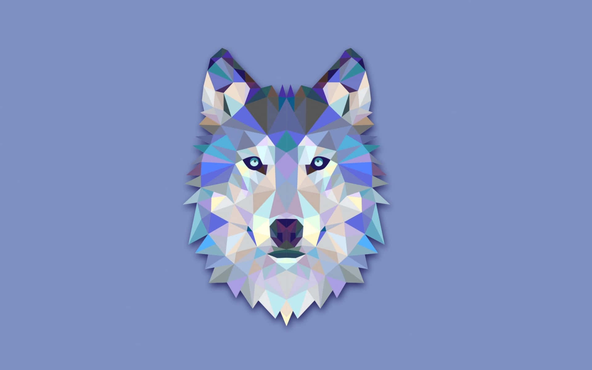Wolf's Head Wallpaper