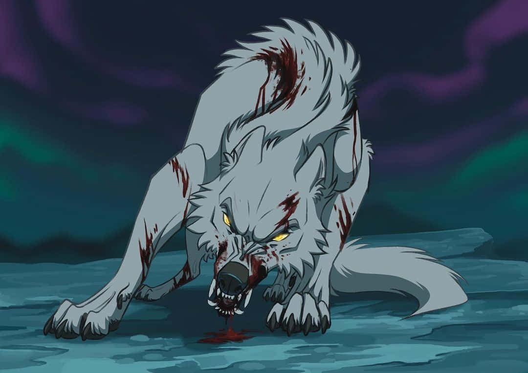 Wolf'srain - Kiba, El Líder Del Lobo Blanco Fondo de pantalla