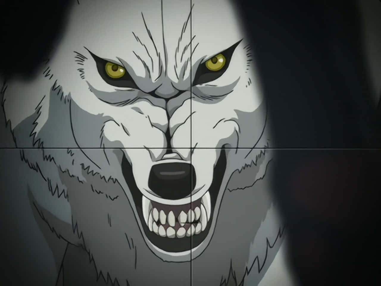 Kiba,el Majestuoso Lobo Blanco De La Serie De Anime Wolf's Rain. Fondo de pantalla
