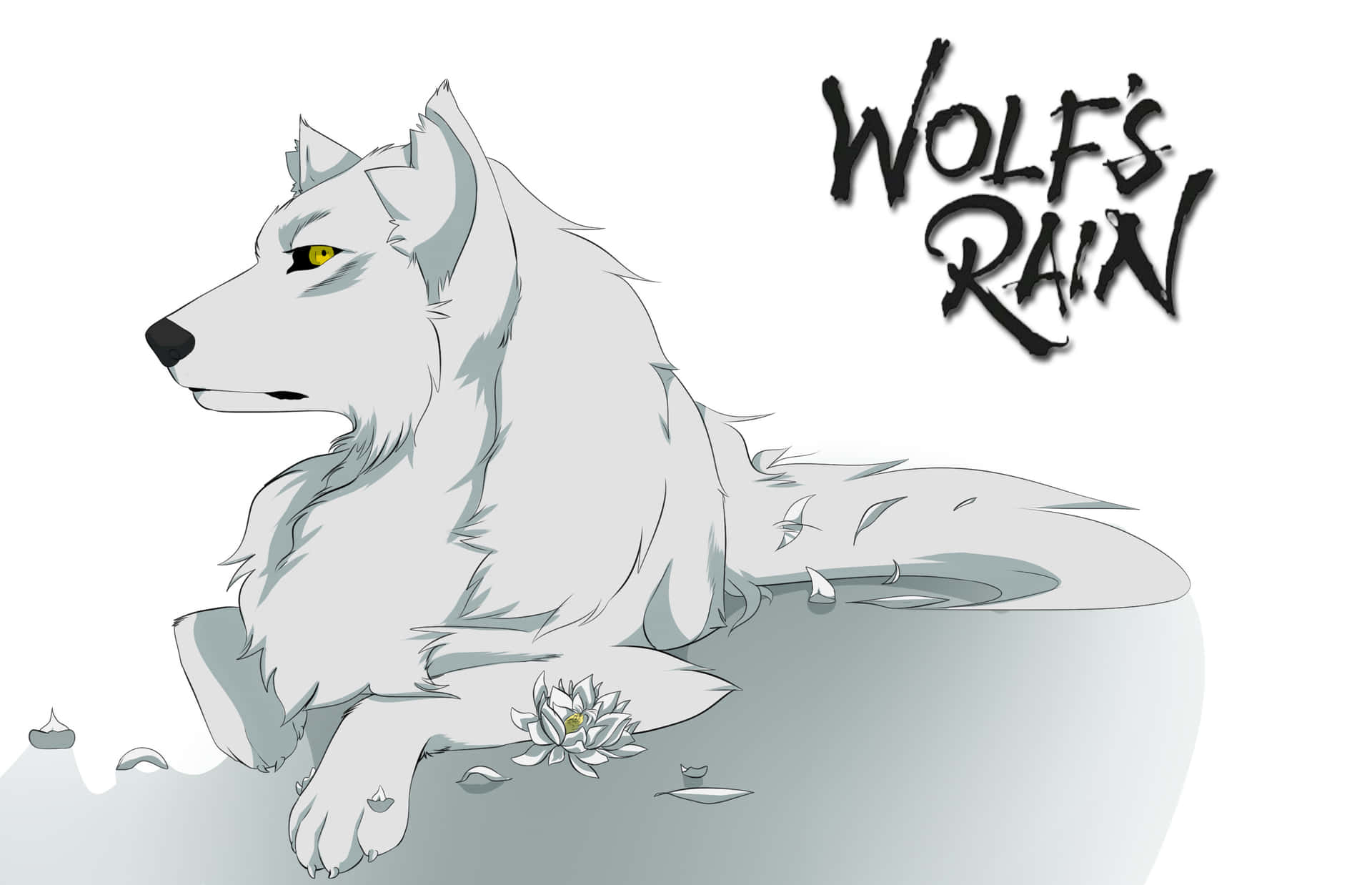 Kibade Wolf's Rain De Pie En La Naturaleza Salvaje Fondo de pantalla