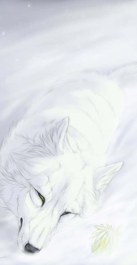 Kiba, the Noble White Wolf from Wolf's Rain Wallpaper