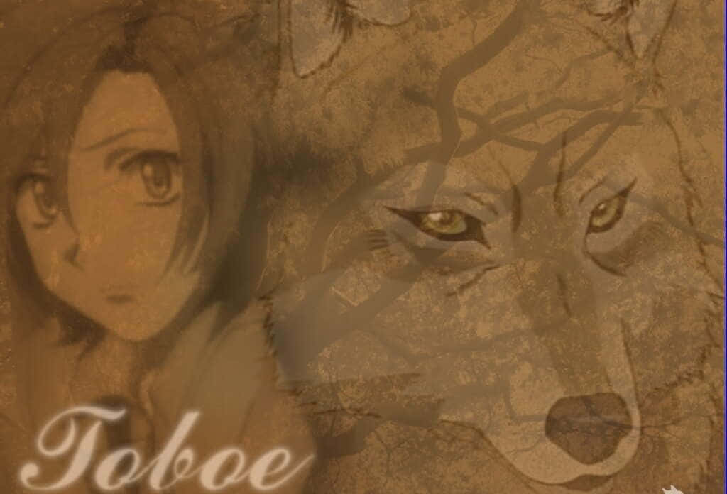 Toboe, The Young Crimson-Eyed Wolf in Forest - Wolf's Rain Wallpaper
