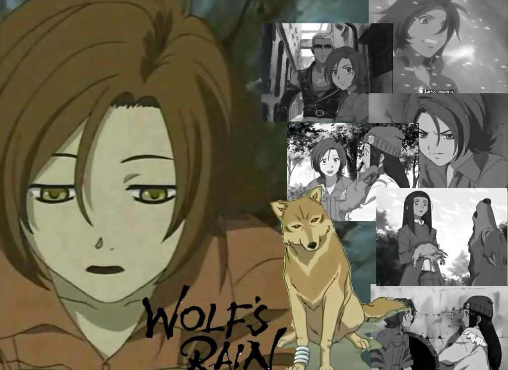 Toboe, the Innocent Wolf from Wolf's Rain Wallpaper
