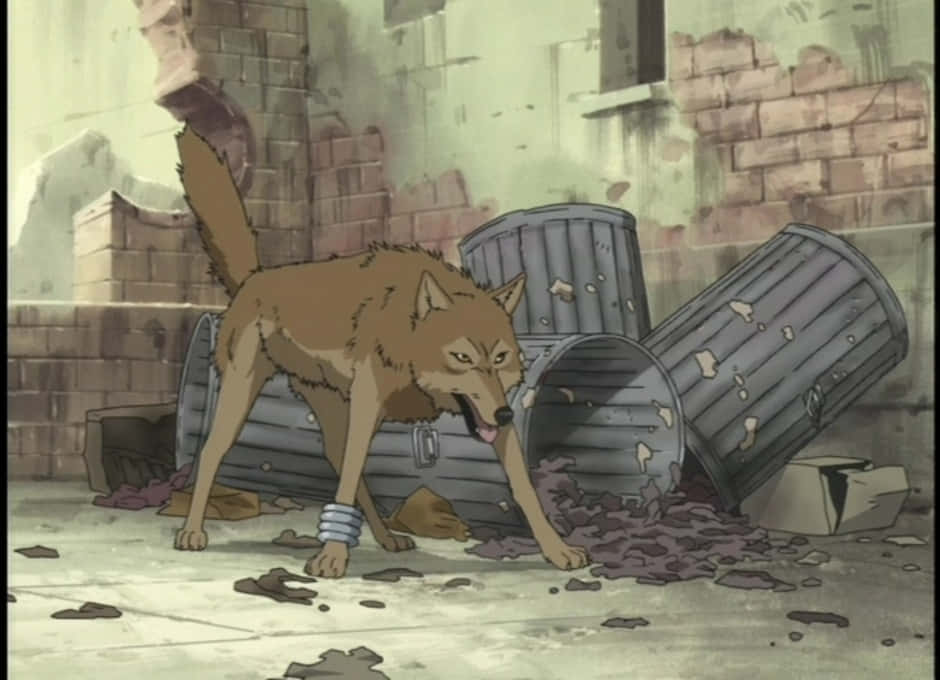 Toboe, the young wolf, in an iconic scene from Wolf's Rain Wallpaper