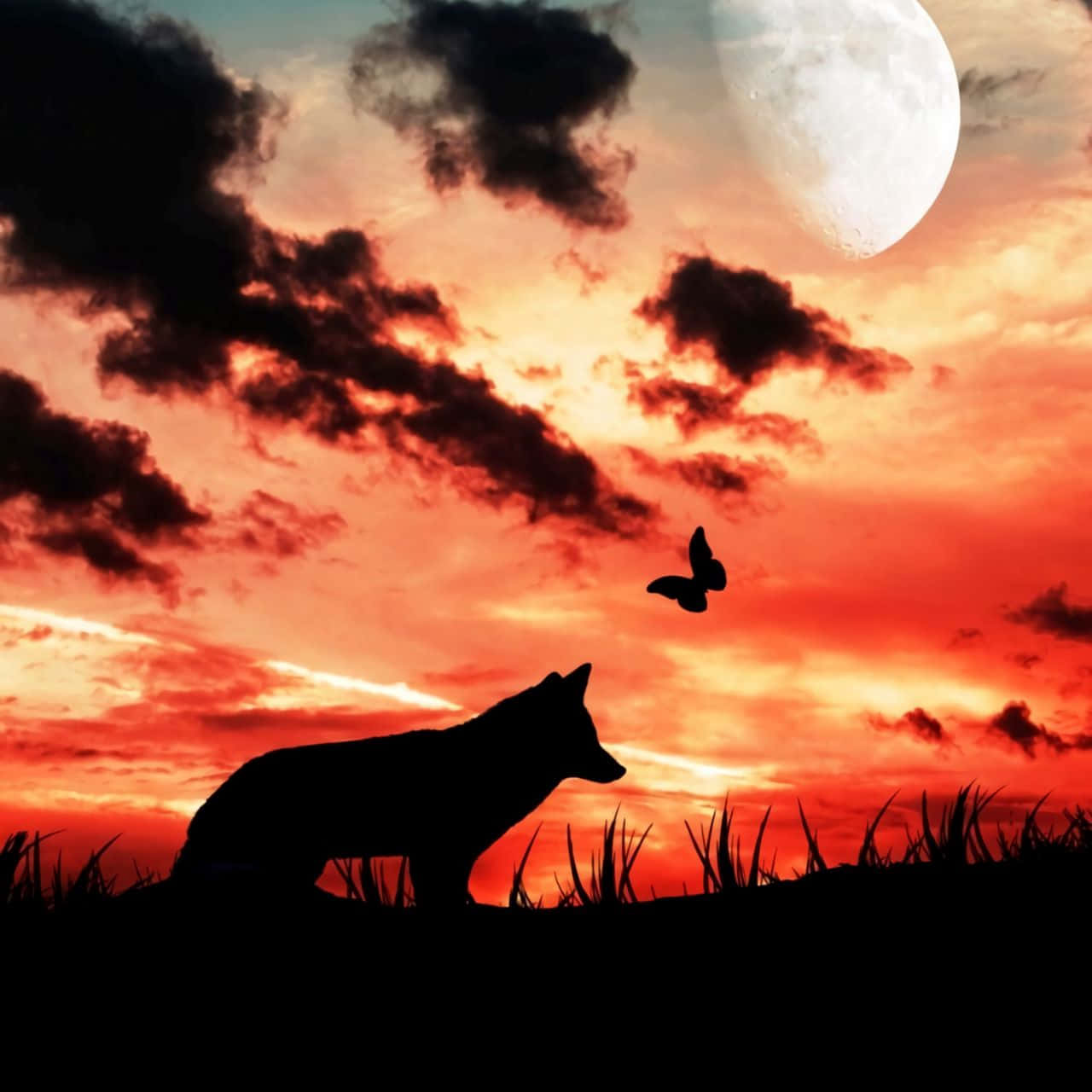 Majestic Wolf Silhouette Against Moonlit Sky Wallpaper
