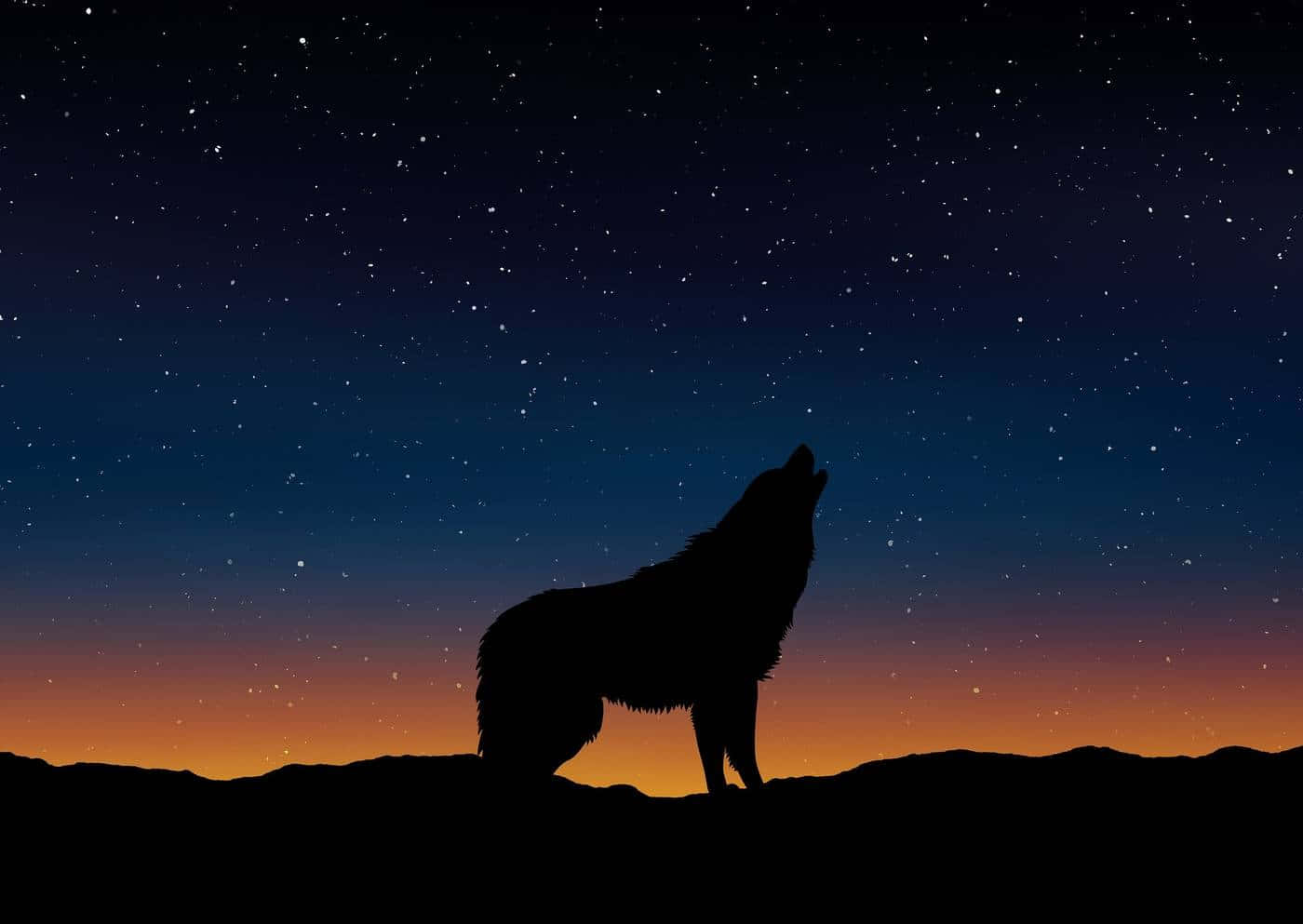 Majestic Wolf Silhouette Against a Moonlit Sky Wallpaper