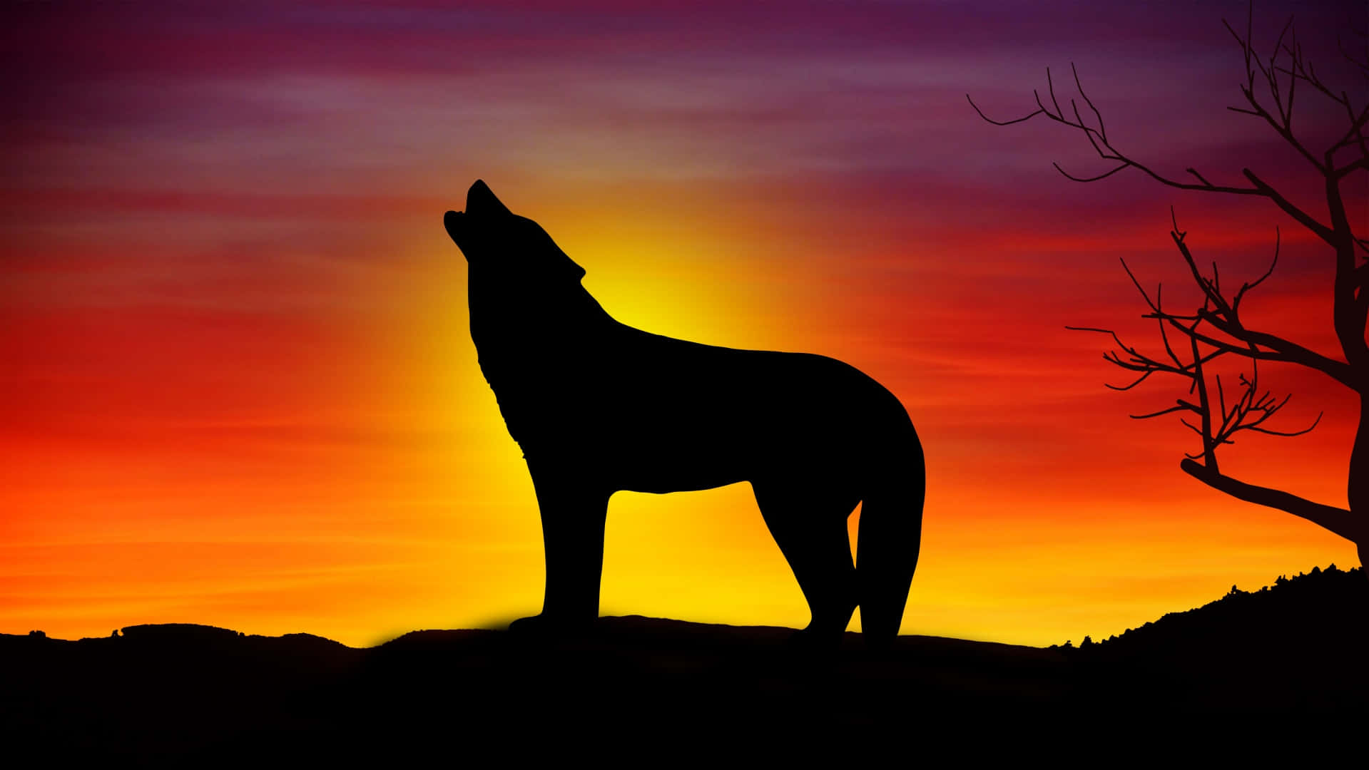 Majestic Wolf Silhouette against Moonlit Sky Wallpaper