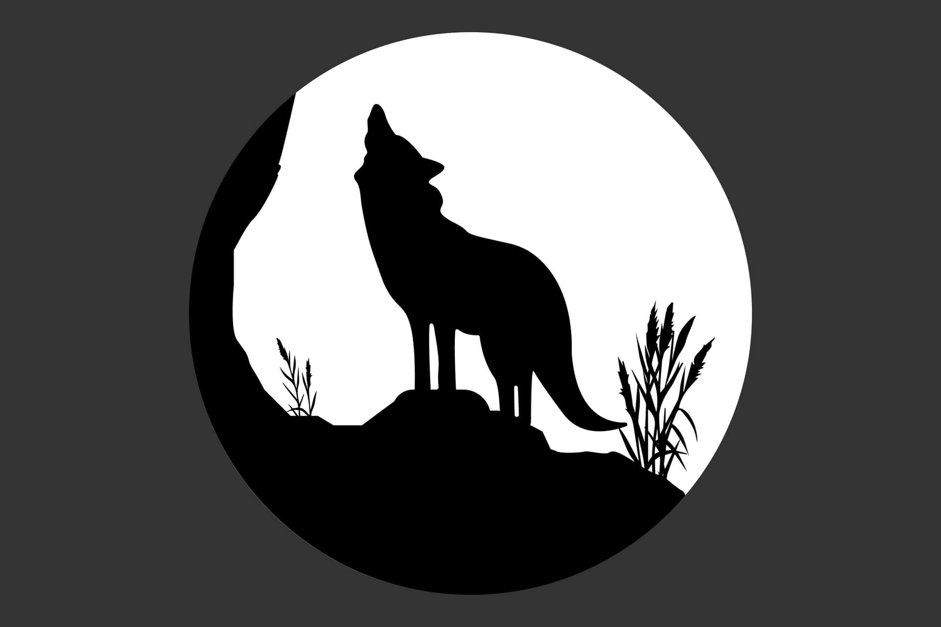 Majestic wolf silhouette against a stunning night sky Wallpaper