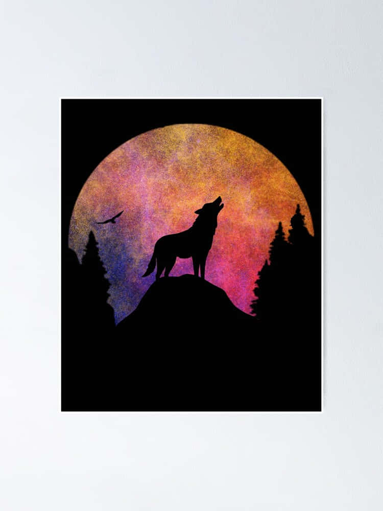 Majestic Wolf Silhouette under a Starry Sky Wallpaper