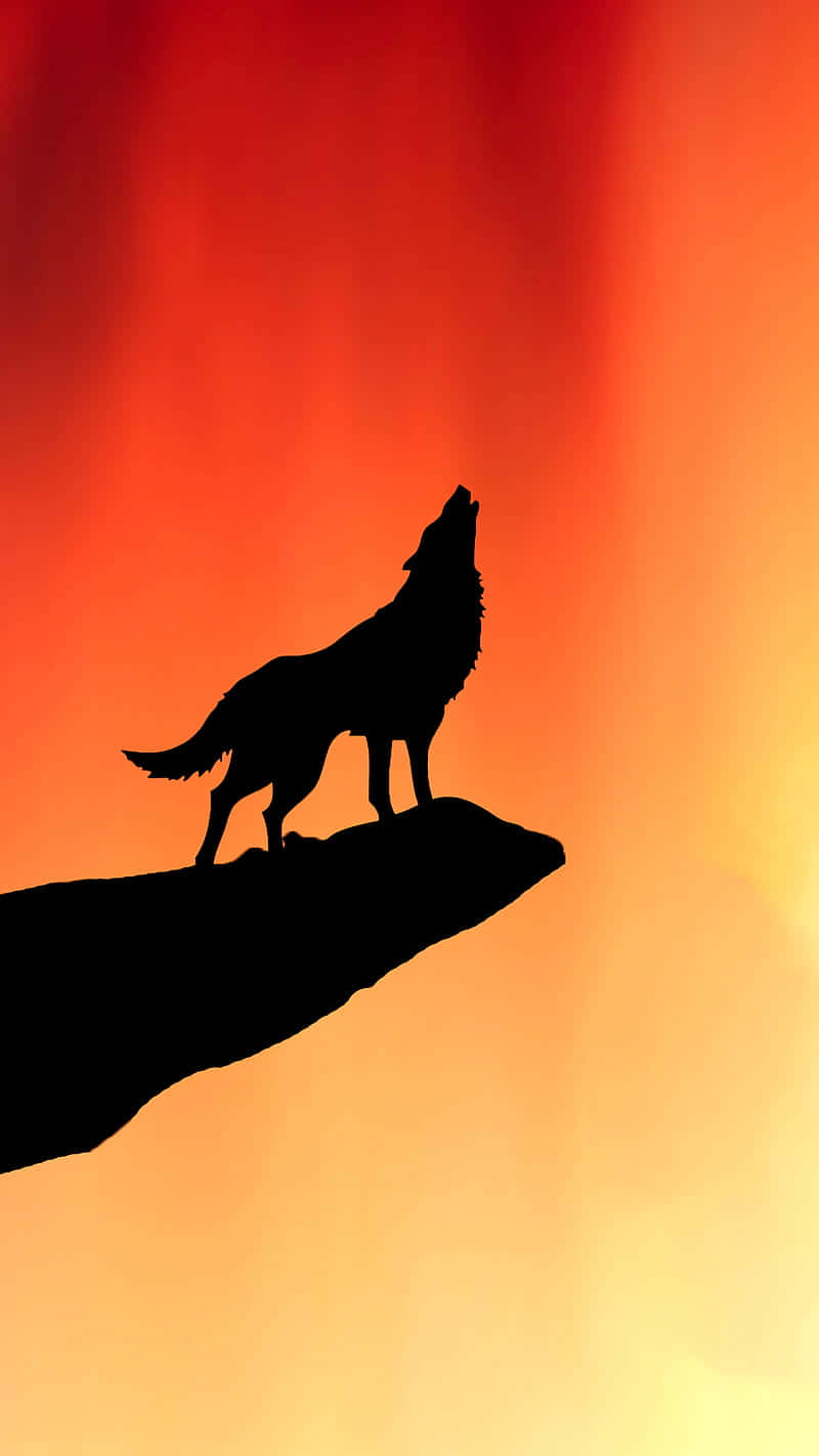 Majestic Wolf Silhouette Against the Night Sky Wallpaper