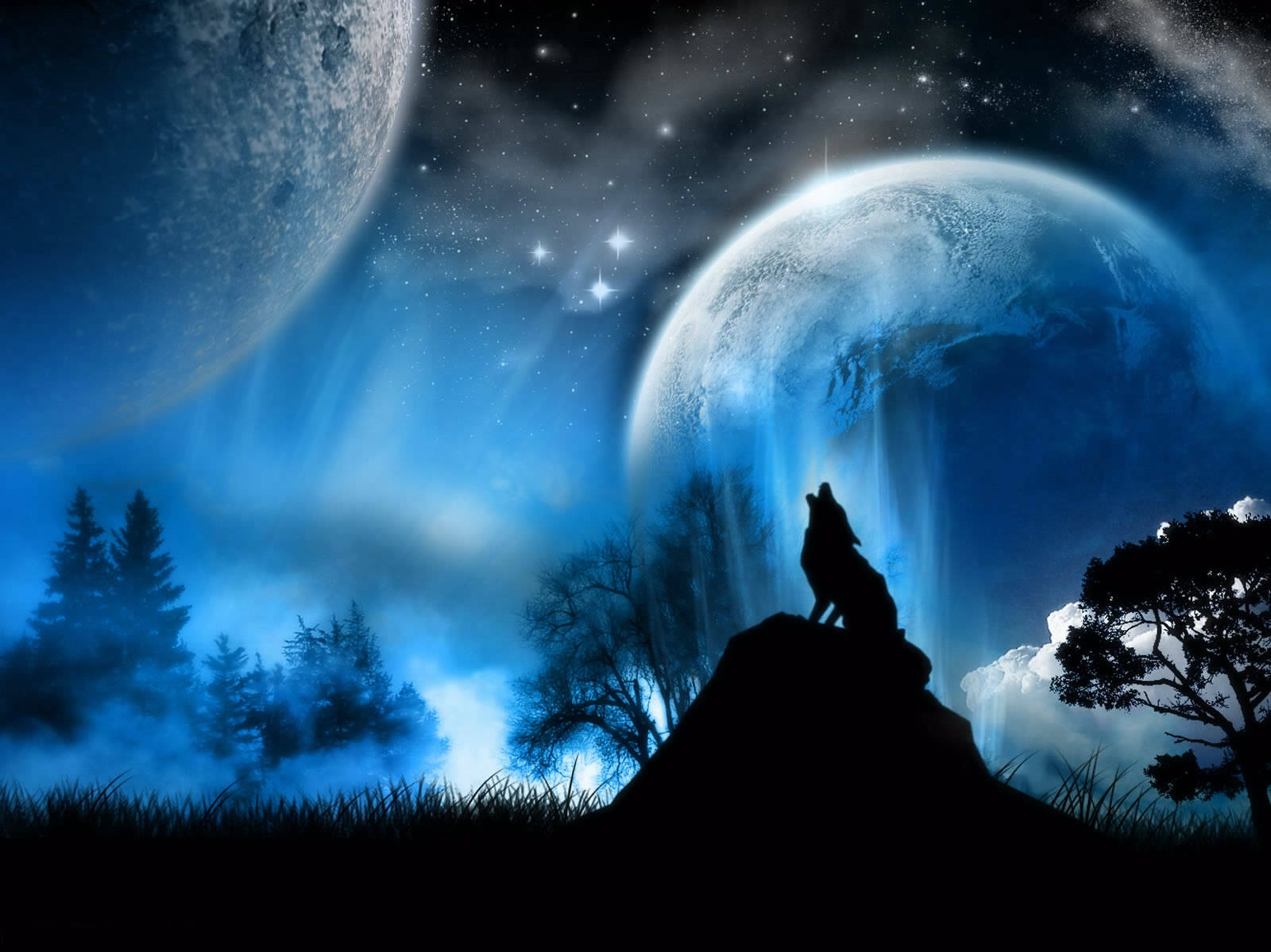 Wolf Silhouette In Fantasy World