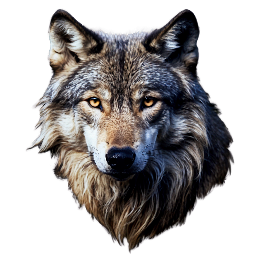Wolf Spirit Animal Guide Png Erb PNG